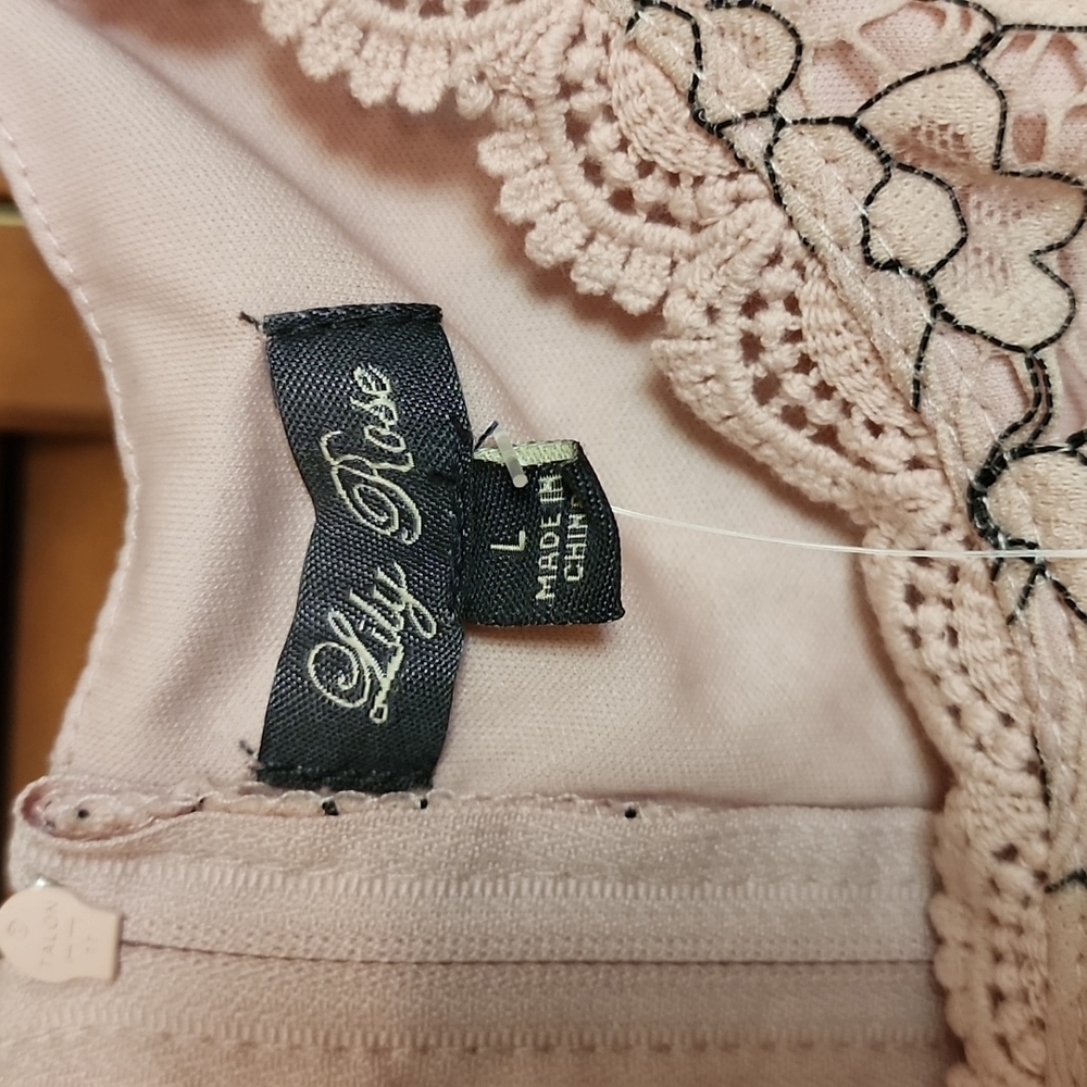 NWT Lily Rose Blush Color Lace Dress SZ L - Picture 3 of 5